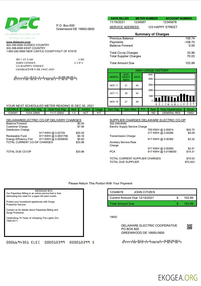USA Delaware Electric Co op utility bill template in Word and PDF format